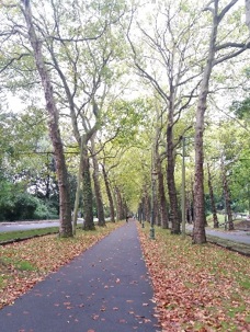 vrijliggende fietspad