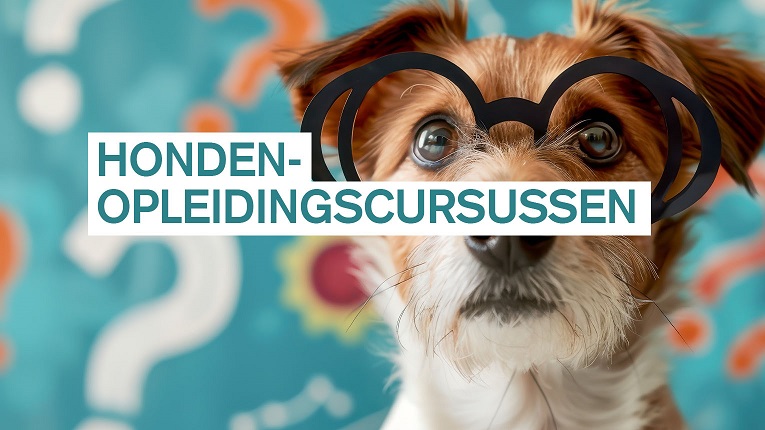 Hondenopleidingscursussen