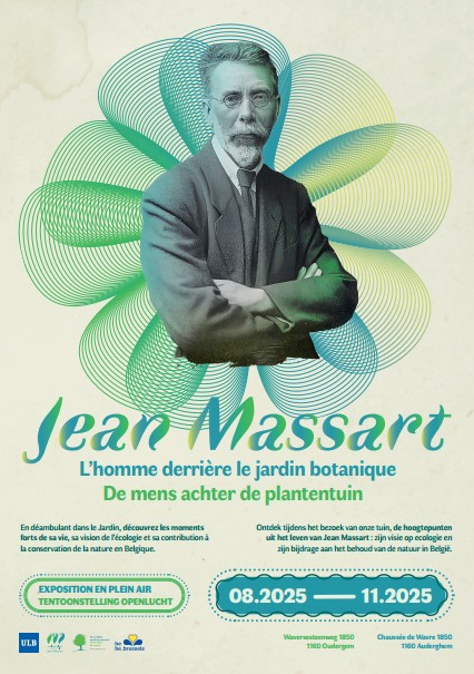 Illustratie