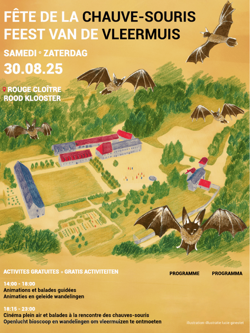 Affiche Feest van de vleermuis