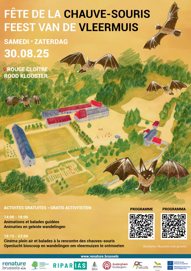 Affiche Feest van de vleermuis