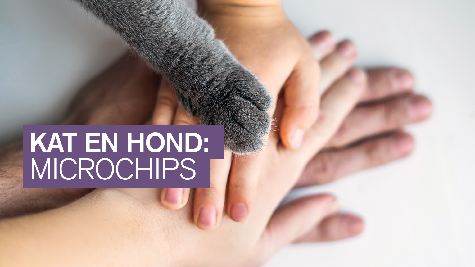Microchips