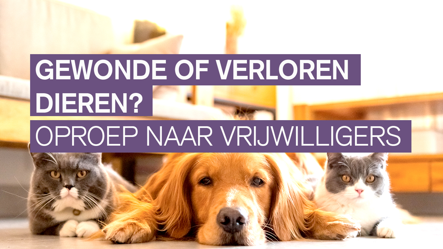Oproep naar gezinnen en vrijwilligers