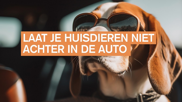 Grote hitte: bescherm ook onze dieren