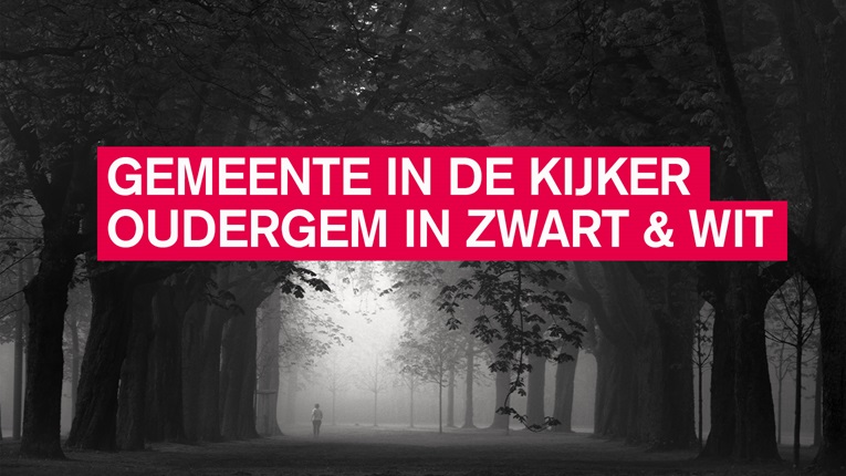 fotowedstrijd