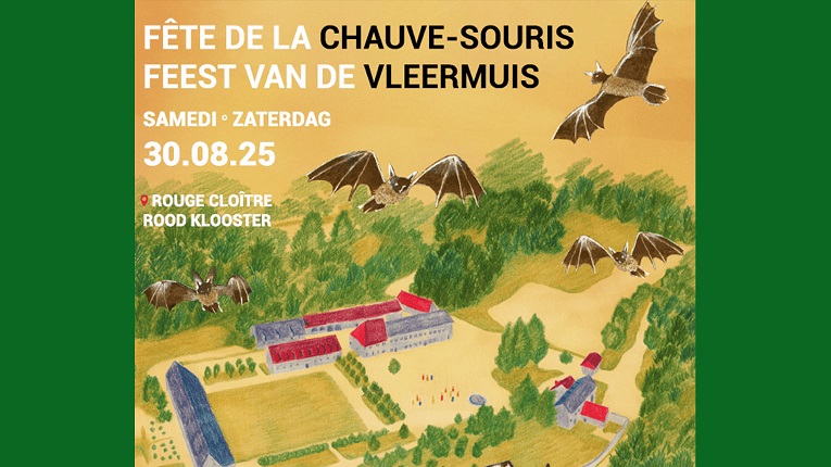 Feest van de vleermuis!