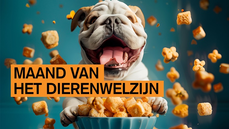 maand van het dierenwelzijn in Oudergem