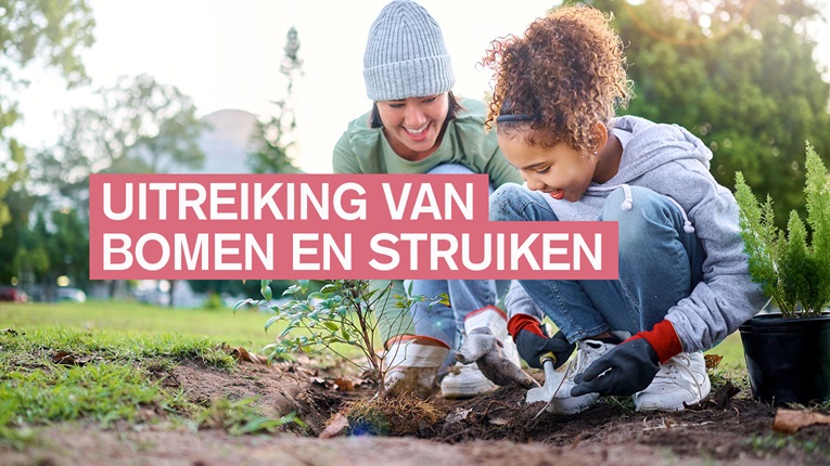 Gedeeld Begroting: Uitreiking van bomen en struiken