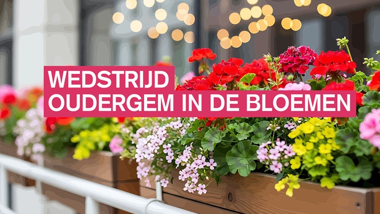 wedstrijd “Oudergem in de bloemen”