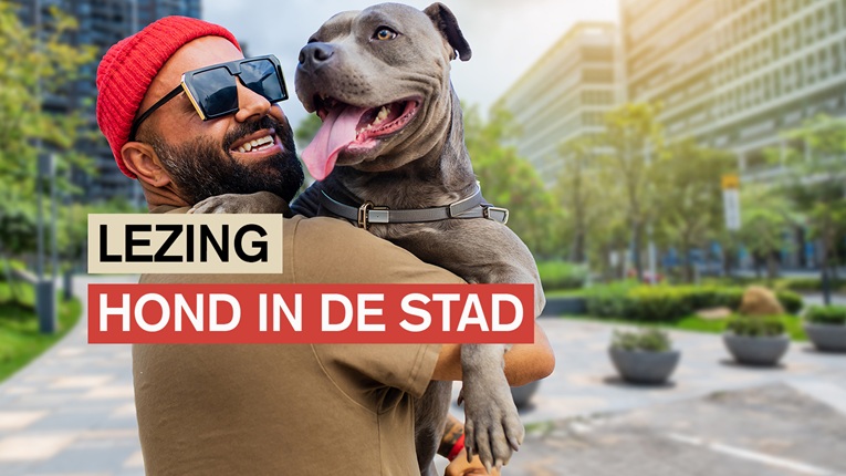 Lezing hond in de stad