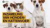 Inzameling van honden- en kattenvoer