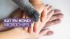 Microchips