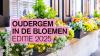 Oudergem in de bloemen
