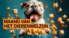 Illustratie